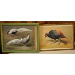 Donald Birbeck: watercolours of silver pheasants and an exotic bird, signed by Birbeck , a former