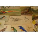 Donald Birbeck: an interesting collection of unmounted artwork to include watercolours and