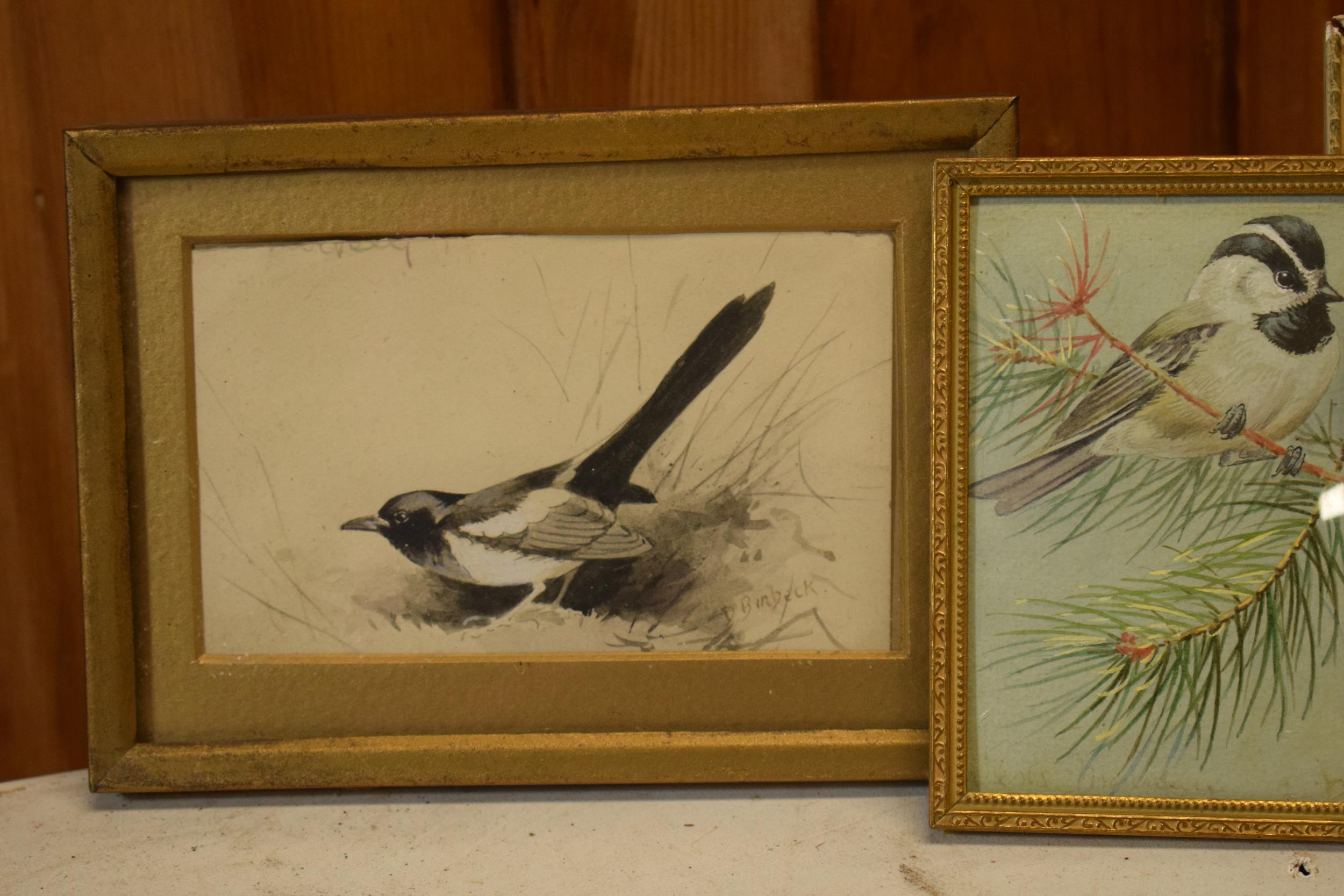 Donald Birbeck: watercolours of a magpie, ducks and bird on a branch, signed by Birbeck , a former - Image 4 of 4