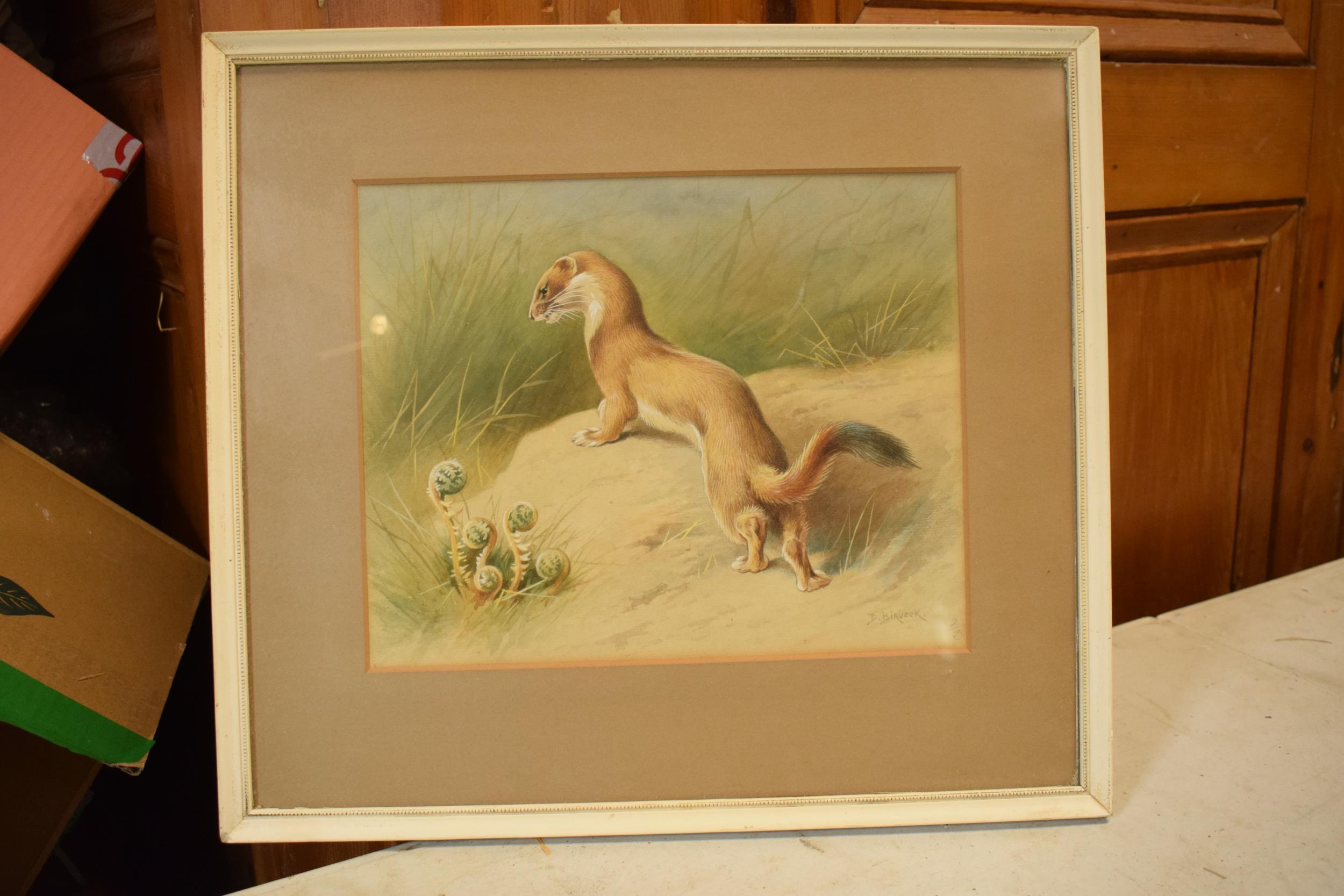Donald Birbeck: print of a weasel, 2/3, signed by Birbeck, a former Royal Crown Derby and Royal - Image 3 of 4