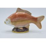 Royal Crown Derby paperweight in the form of a Golden Carp, with gold stopper. In good condition