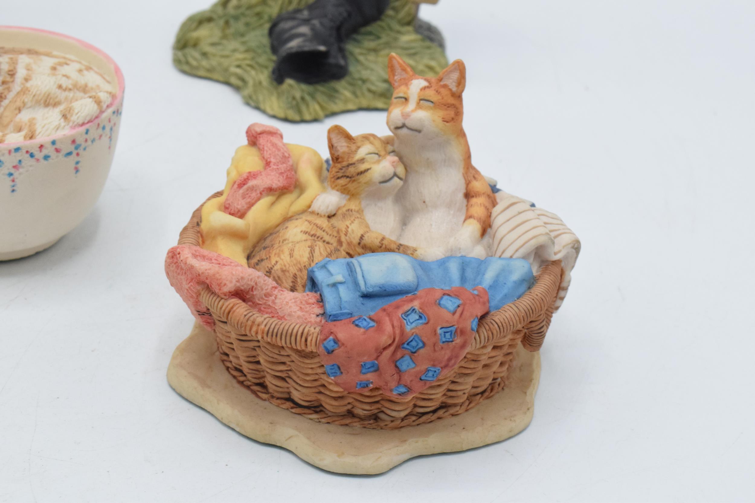 A collection of Border Fine Arts cat figures to include a Cat on a Dressing Table, Cats in a Laundry - Image 2 of 7