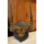 Early twentieth century African Game Horns mounted on wooden shield (length 35cm). In good order