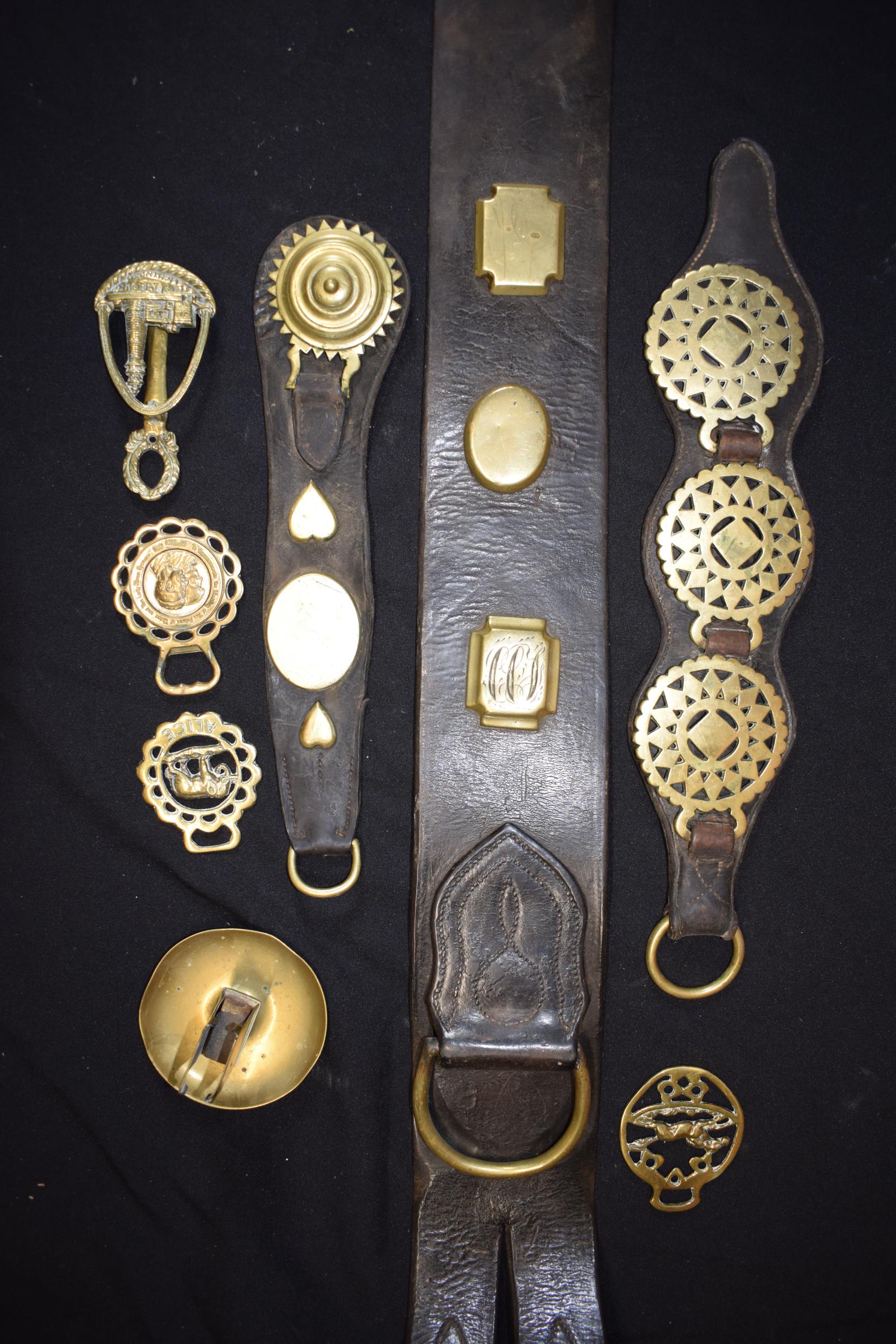 A collection of antique and later horse brasses to include some mounted on leather, longest 110cm (