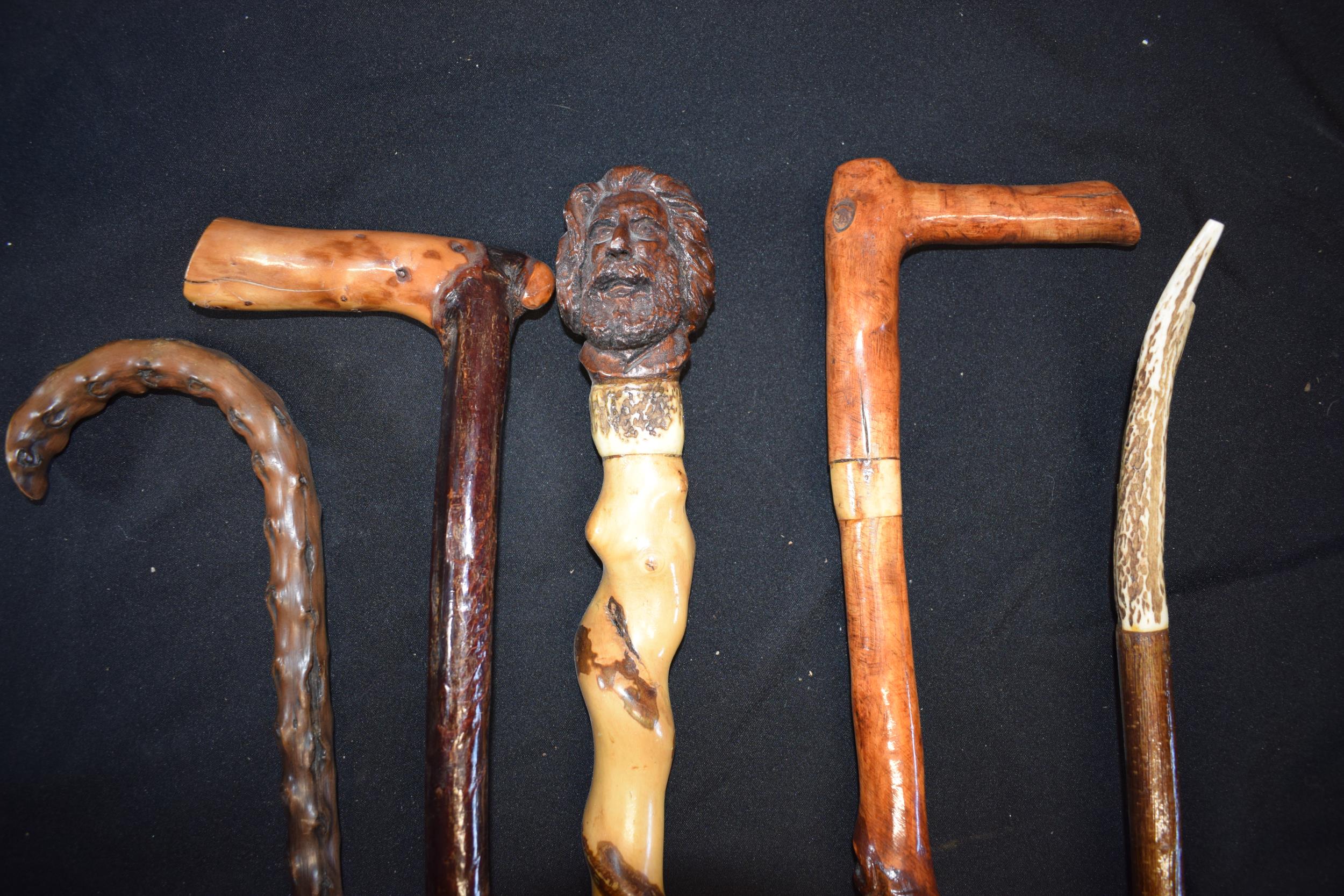 A collection of vintage walking sticks, one with handle in the form of a head, together with 4