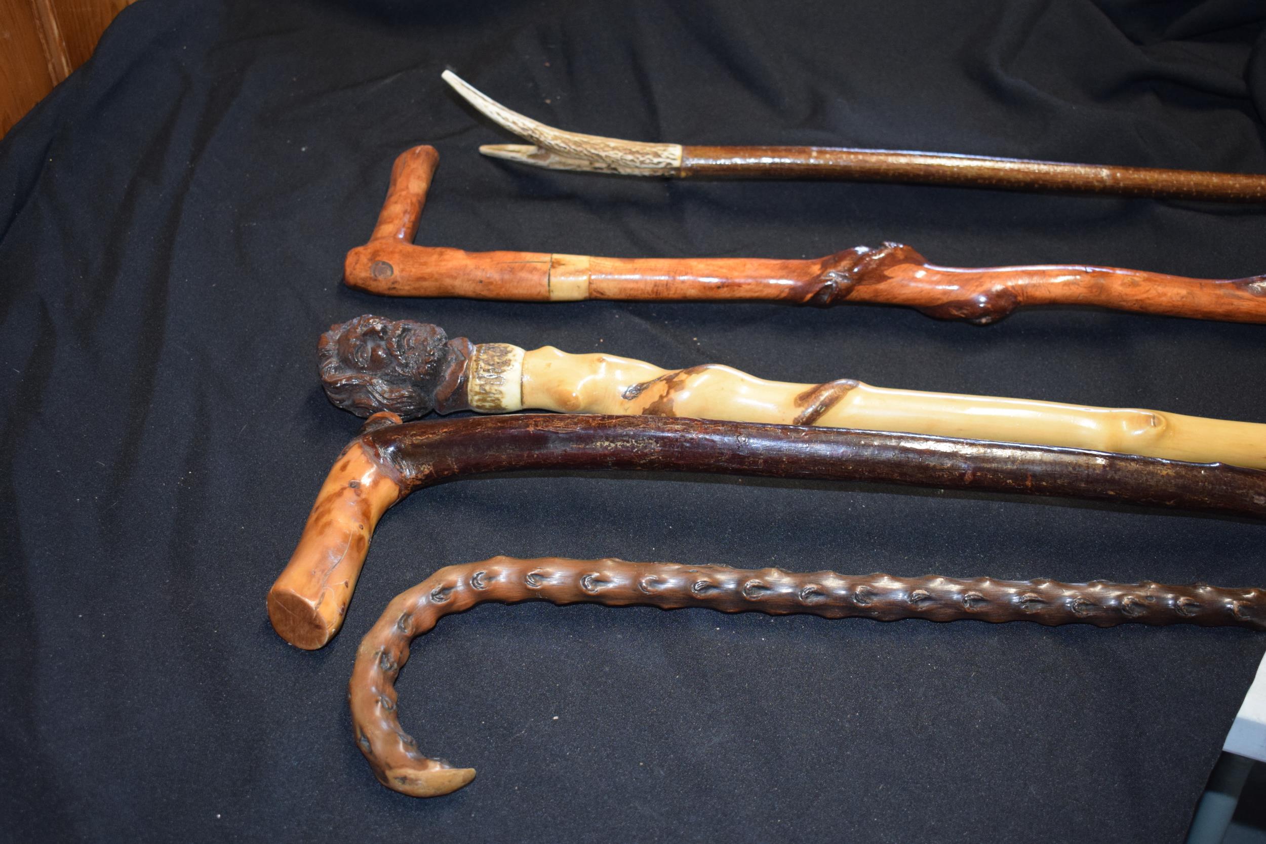 A collection of vintage walking sticks, one with handle in the form of a head, together with 4 - Image 3 of 5