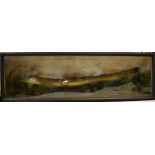 Taxidermy Eel with naturalistic setting of river bed. Mounted in wooden display case with glass