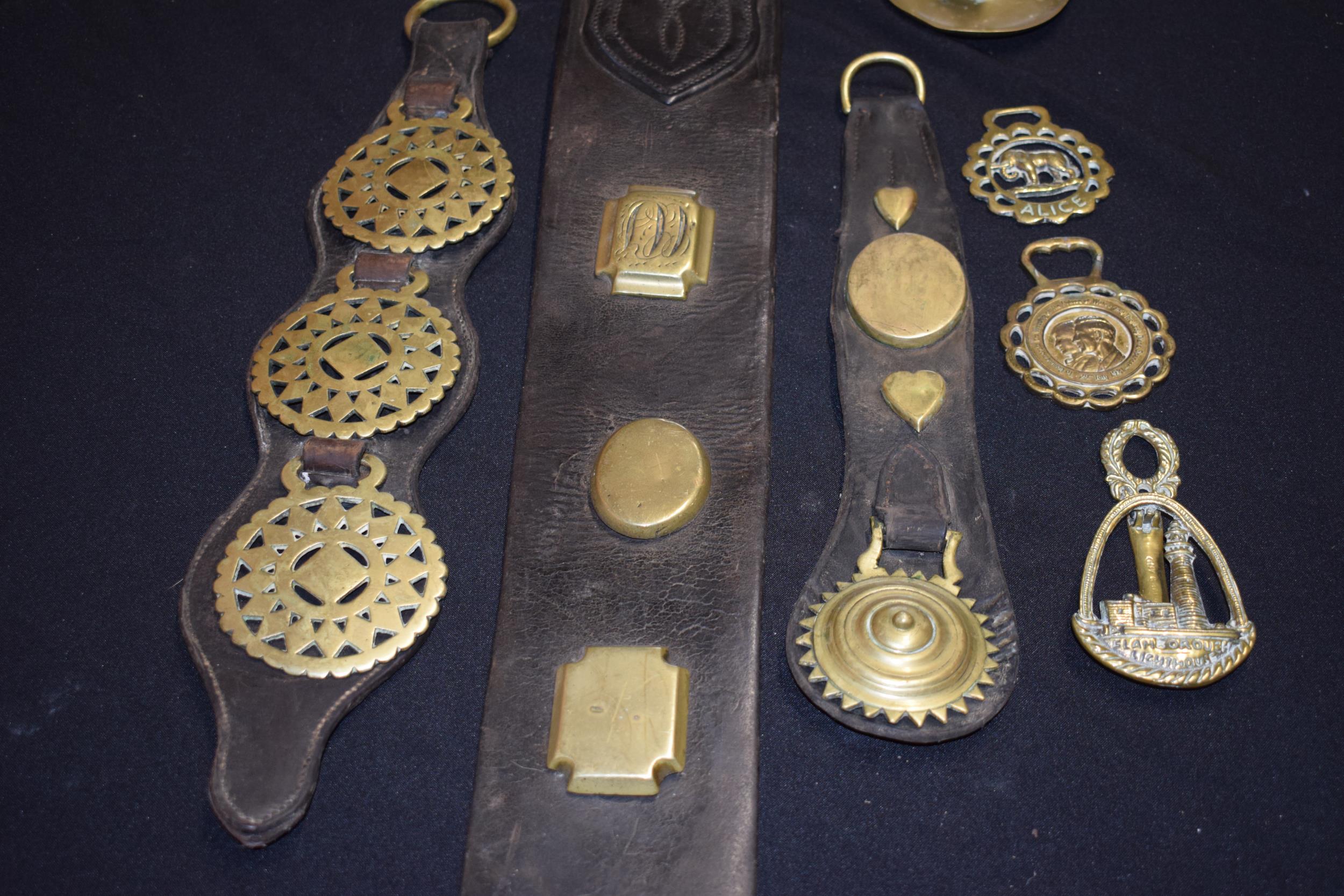 A collection of antique and later horse brasses to include some mounted on leather, longest 110cm ( - Image 2 of 6