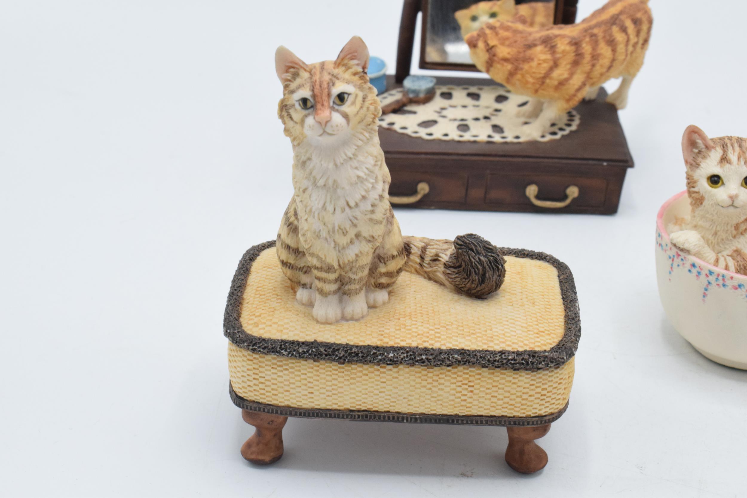 A collection of Border Fine Arts cat figures to include a Cat on a Dressing Table, Cats in a Laundry - Image 3 of 7