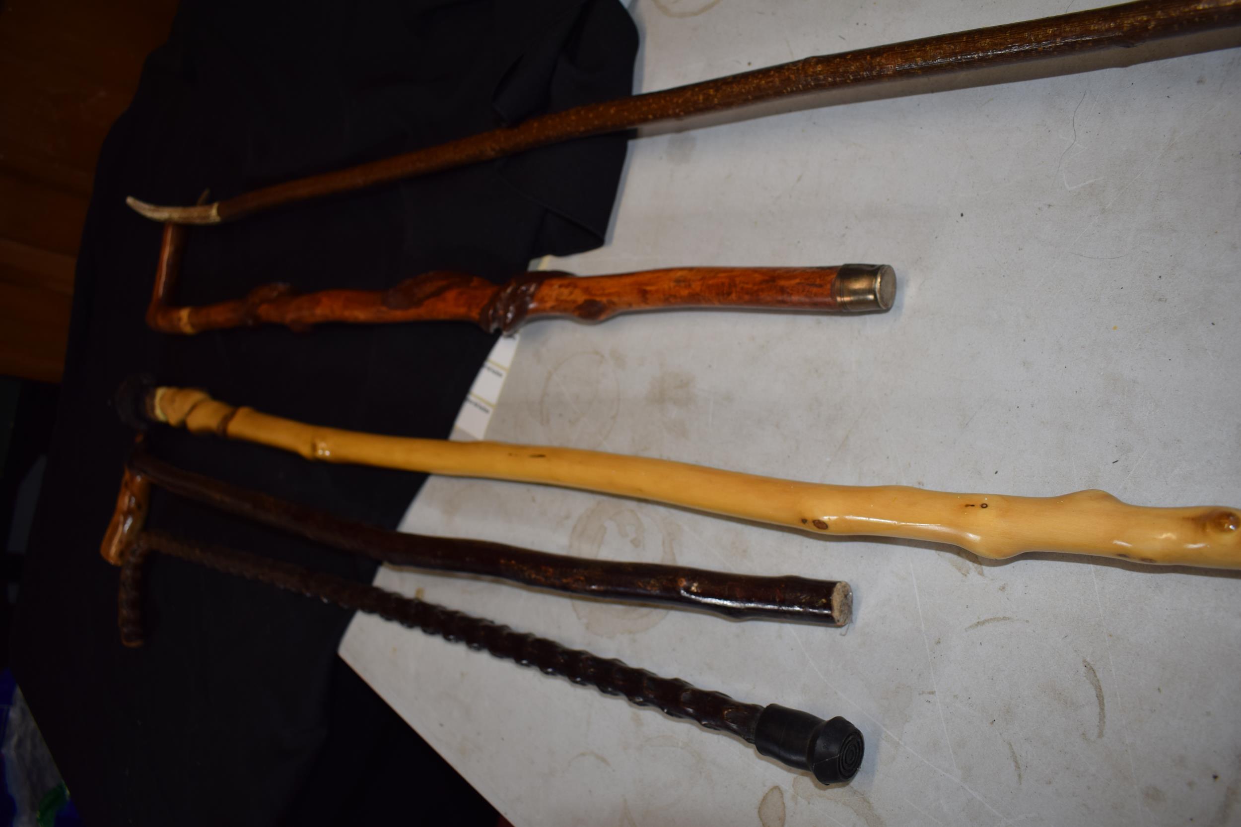 A collection of vintage walking sticks, one with handle in the form of a head, together with 4 - Image 4 of 5