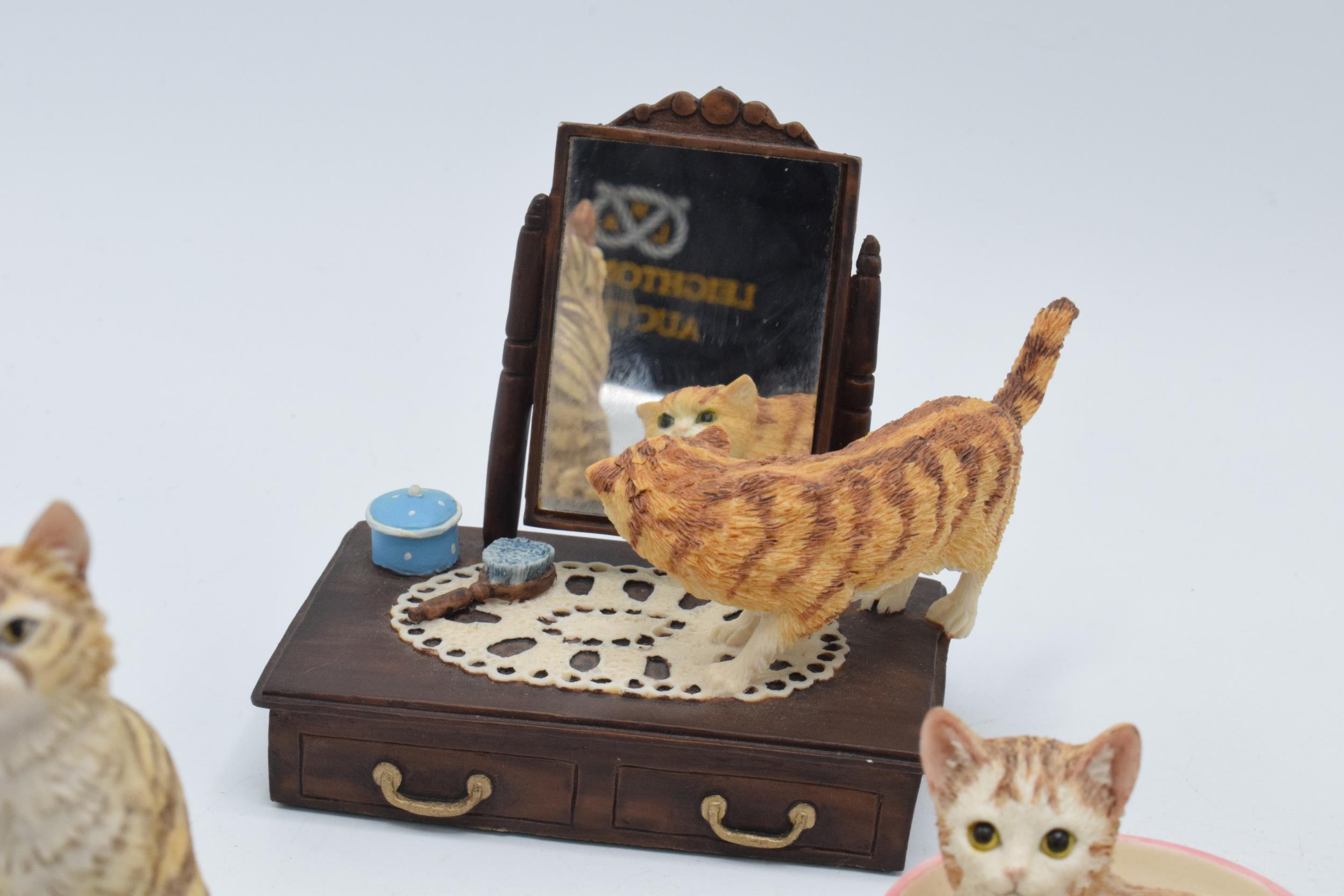 A collection of Border Fine Arts cat figures to include a Cat on a Dressing Table, Cats in a Laundry - Image 7 of 7