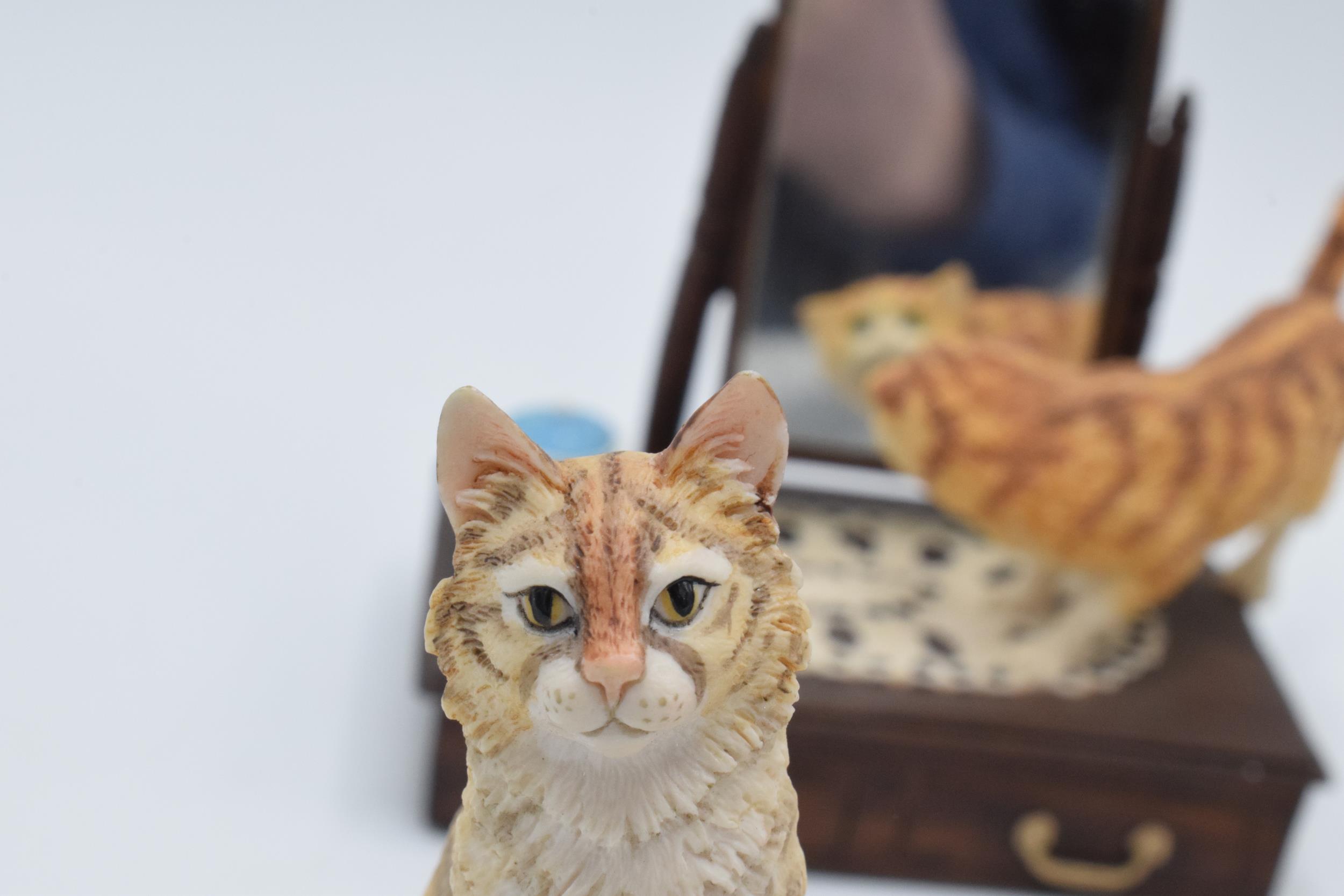 A collection of Border Fine Arts cat figures to include a Cat on a Dressing Table, Cats in a Laundry - Image 4 of 7