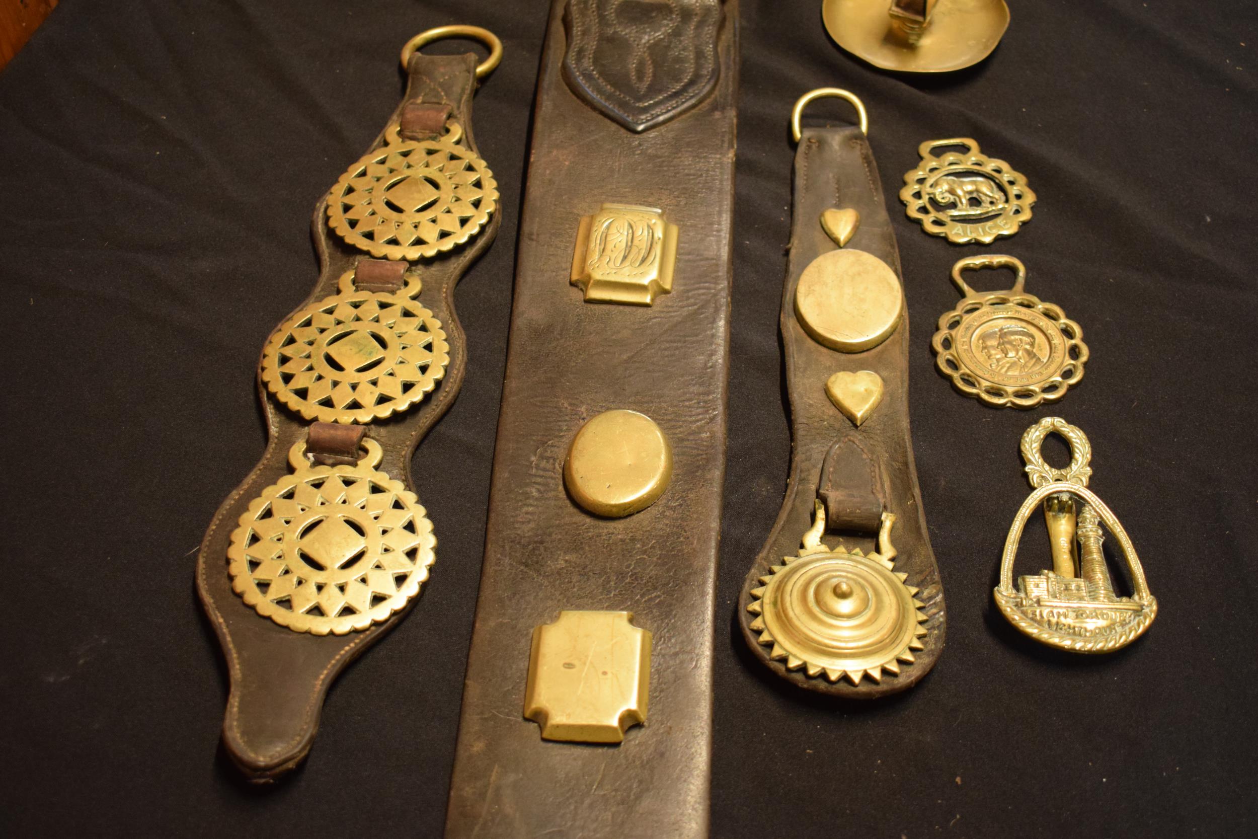 A collection of antique and later horse brasses to include some mounted on leather, longest 110cm ( - Image 3 of 6