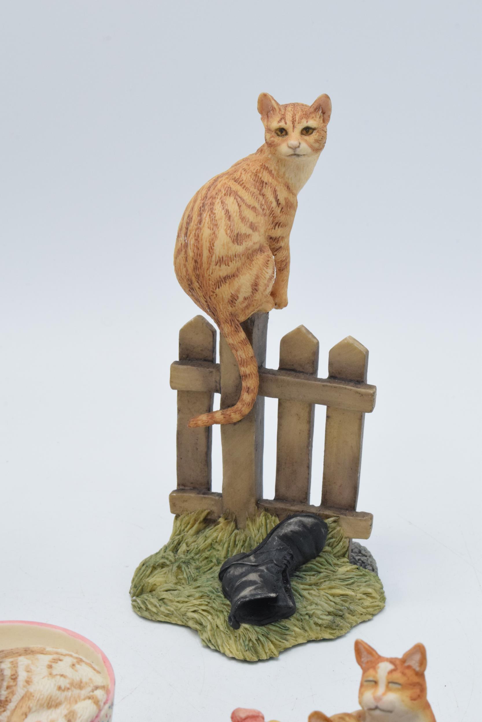 A collection of Border Fine Arts cat figures to include a Cat on a Dressing Table, Cats in a Laundry - Image 6 of 7