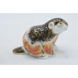 Royal Crown Derby paperweight, Riverbank Beaver, number 3,697 of a limited edition of 5,000, red