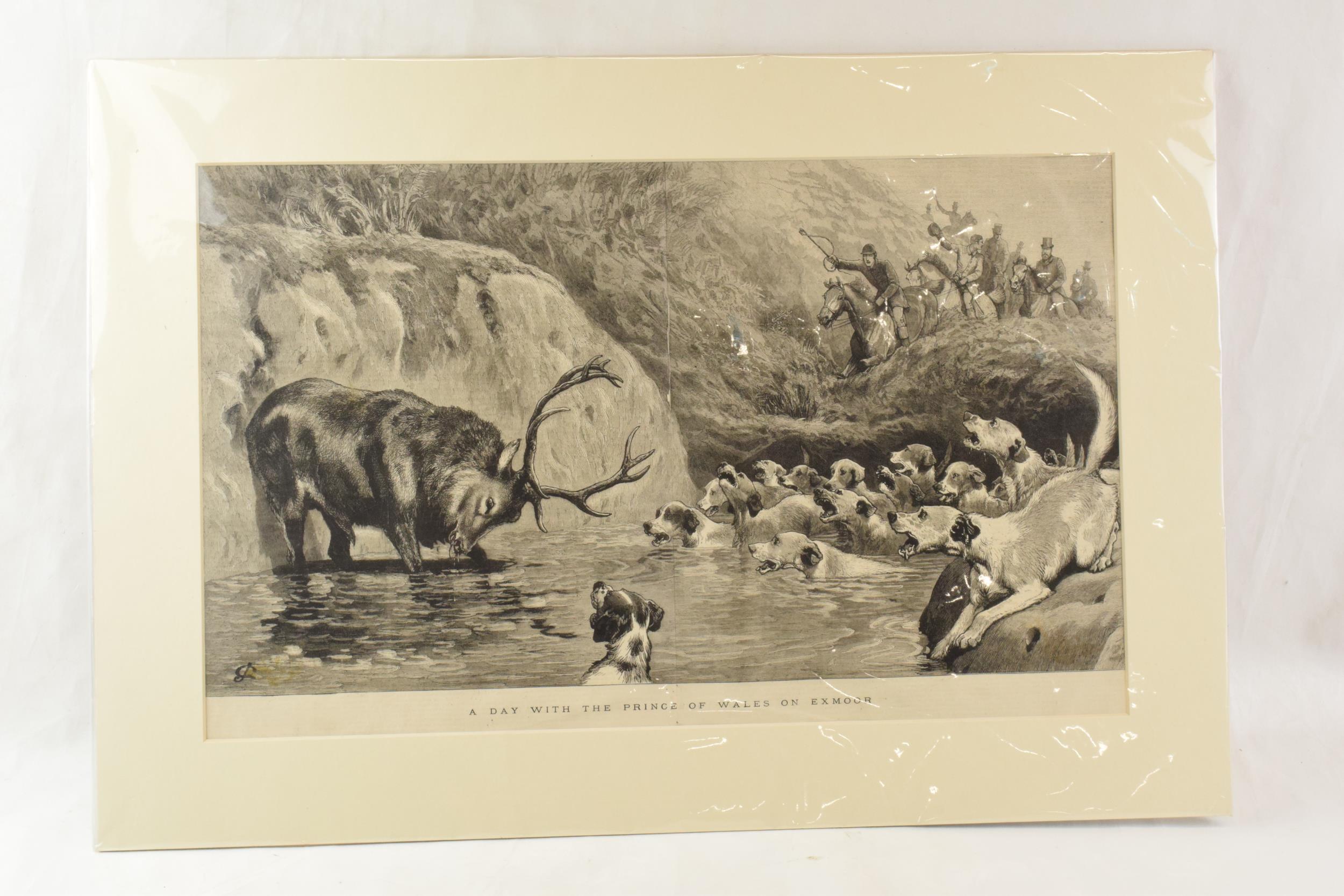 Mounted magazine engraving / illustration 'A Day with the Prince of Wales on Exmoor', stag hunting - Image 2 of 4