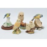 Border Fine Arts to include a bluetit on a coconut, an owl and a mouse, Watching and Waiting, a
