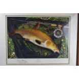 Limited edition John Searl colour print of a Barbel taken by Bob James from the Upper Hampshire Avon