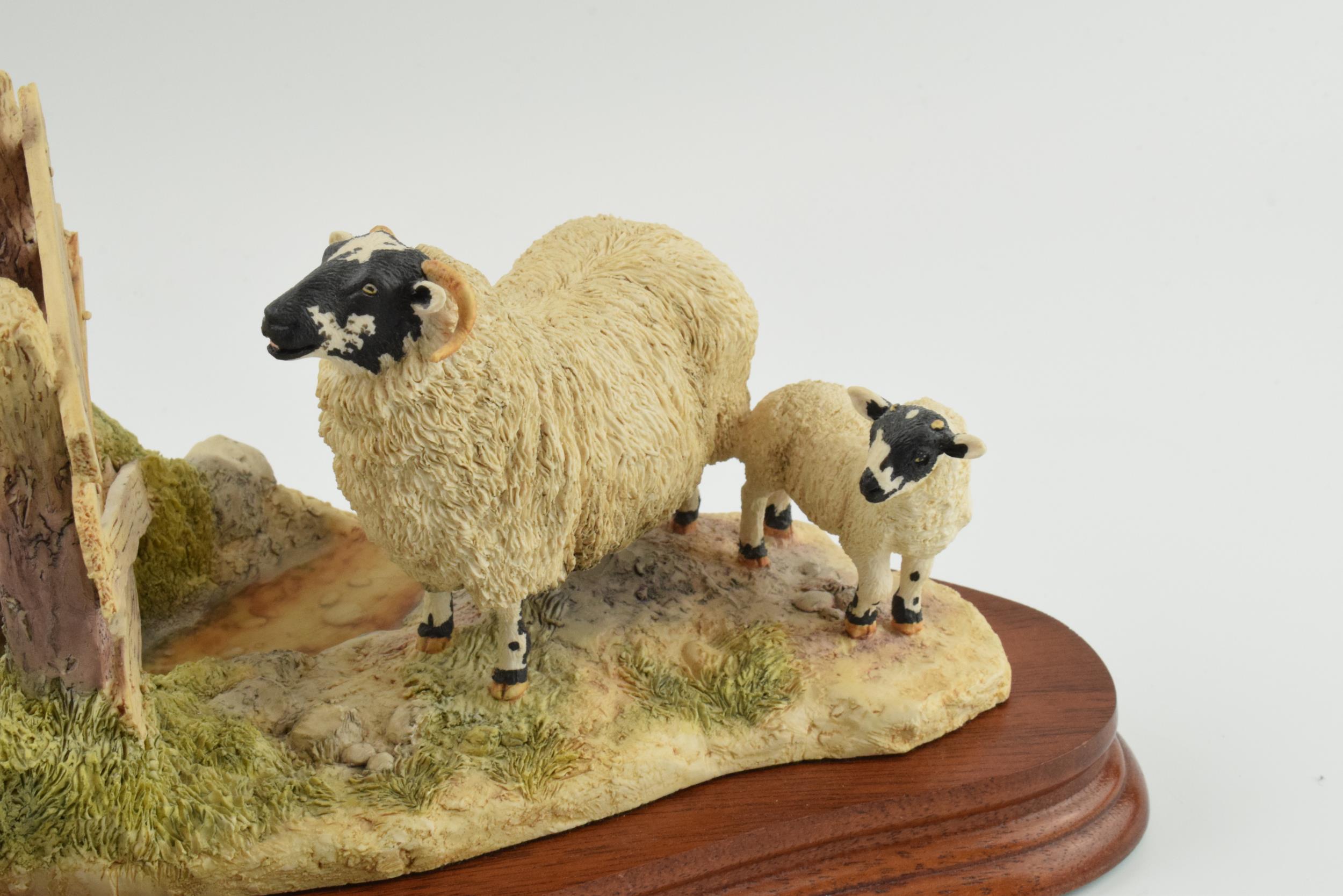 Border Fine Arts 'Wrong Side of the Fence' (Ewe and lambs), by Anne Wall, limited edition 1252/1500, - Image 2 of 5
