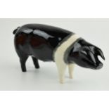 Beswick Saddleback boar 1512 (crack to rear). The piece displays well but there is a hairline