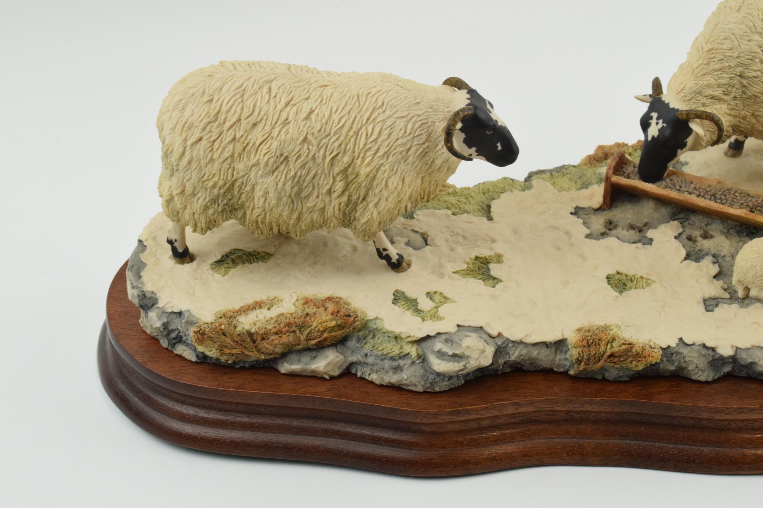 Border Fine Arts figure group 'Early Lambs Late Snow' by Ray Ayres, 35cm long, wooden base. In - Image 2 of 5