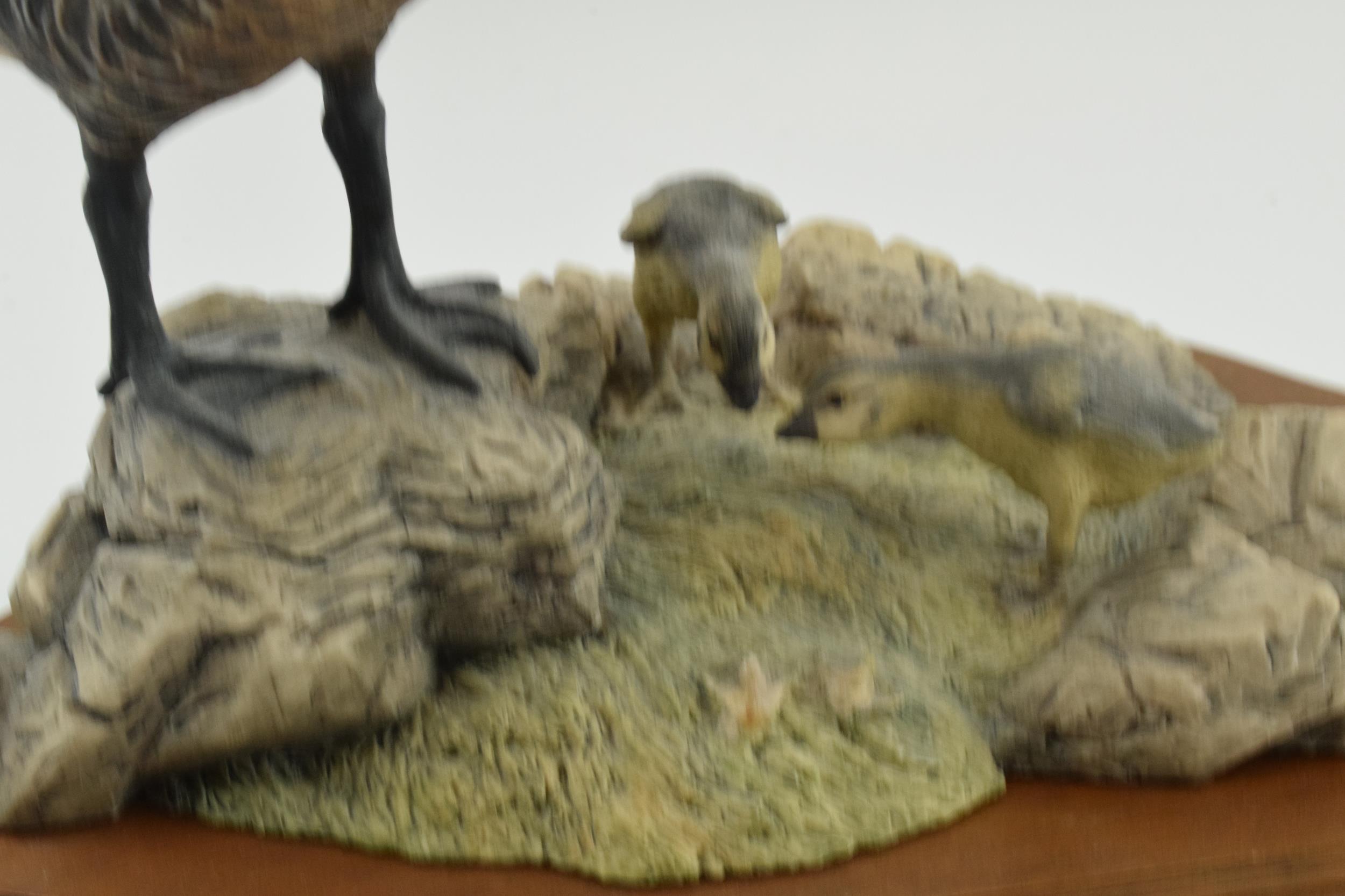 Border Fine Arts limited edition figure 'Hawaiian Goose and Goslings', missing one gosling, 27cm - Image 3 of 6