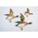 Beswick flying mallard wall plaques to include 596- 1, 596-2 and 596-4 (3). In good condition with