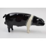 Beswick Saddleback Boar 1512. In good condition with no obvious damage or restoration.