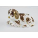 Boxed Royal Crown Derby paperweight in the form of Scruff the Puppy, first quality with gold
