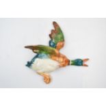 Large Beswick flying mallard wall plaque 596-0. In good condition with no obvious damage or