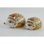 Two Royal Crown Derby hedgehog paperweights, Hawthorn (Mother) Hedgehog, 9.5cm wide, gold stopper