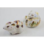 Royal Crown Derby Paperweights in the form of a Dormouse and a Bank Vole, first quality with gold