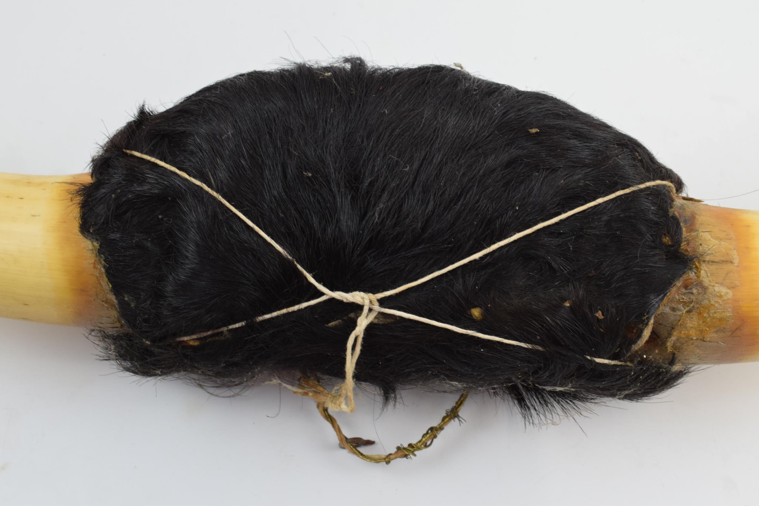 Vintage 20th century pair of Shorthorn (or similar) cow horns mounted with hair, 76cm wide. - Image 5 of 5