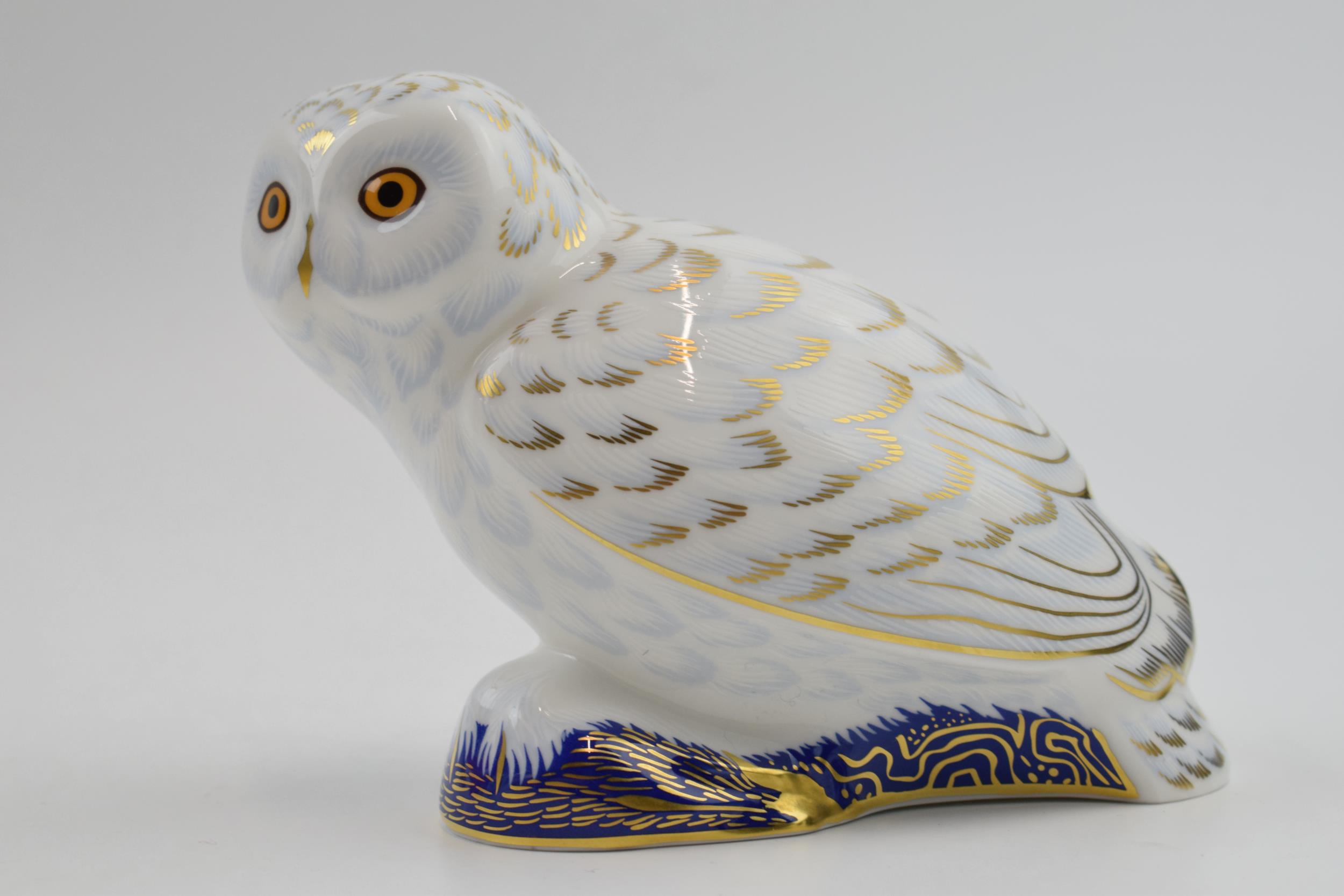 Royal Crown Derby Paperweight in the form of a Snowy Owl, first quality with gold stopper. In good - Image 2 of 3