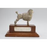 Early to mid 20th century silver plated model of a poodle, potentially bronze, on wooden base with