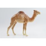 Beswick Camel 1044. In good condition with no obvious damage or restoration.