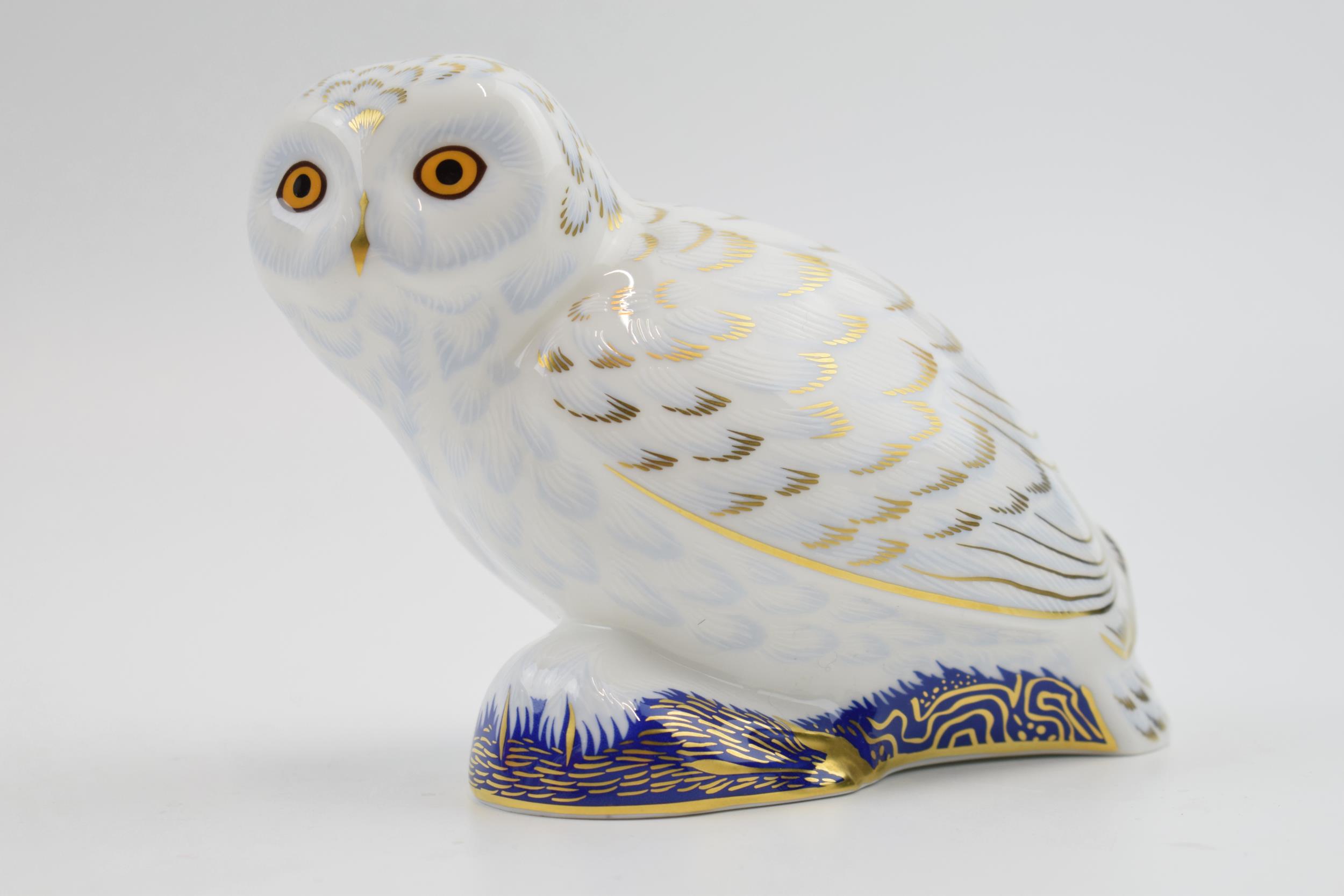 Royal Crown Derby Paperweight in the form of a Snowy Owl, first quality with gold stopper. In good