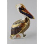 Royal Crown Derby paperweight in the form of a Brown Pelican, signed, first quality with gold