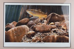 David Miller Limited Edition prints. Signed and numbered. 8/100 "Brown Trout, One on the