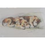 Herbert Dicksee etching 'Recumbent Puppies' signed artist proof: Airdale Terrier Puppies Measuring