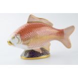 Royal Crown Derby paperweight in the form of a Golden Carp, first quality with gold stopper. In good