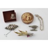 A collection of jewellery to include Scottish Ptarmigan foot brooch with chrome plated mount, silver