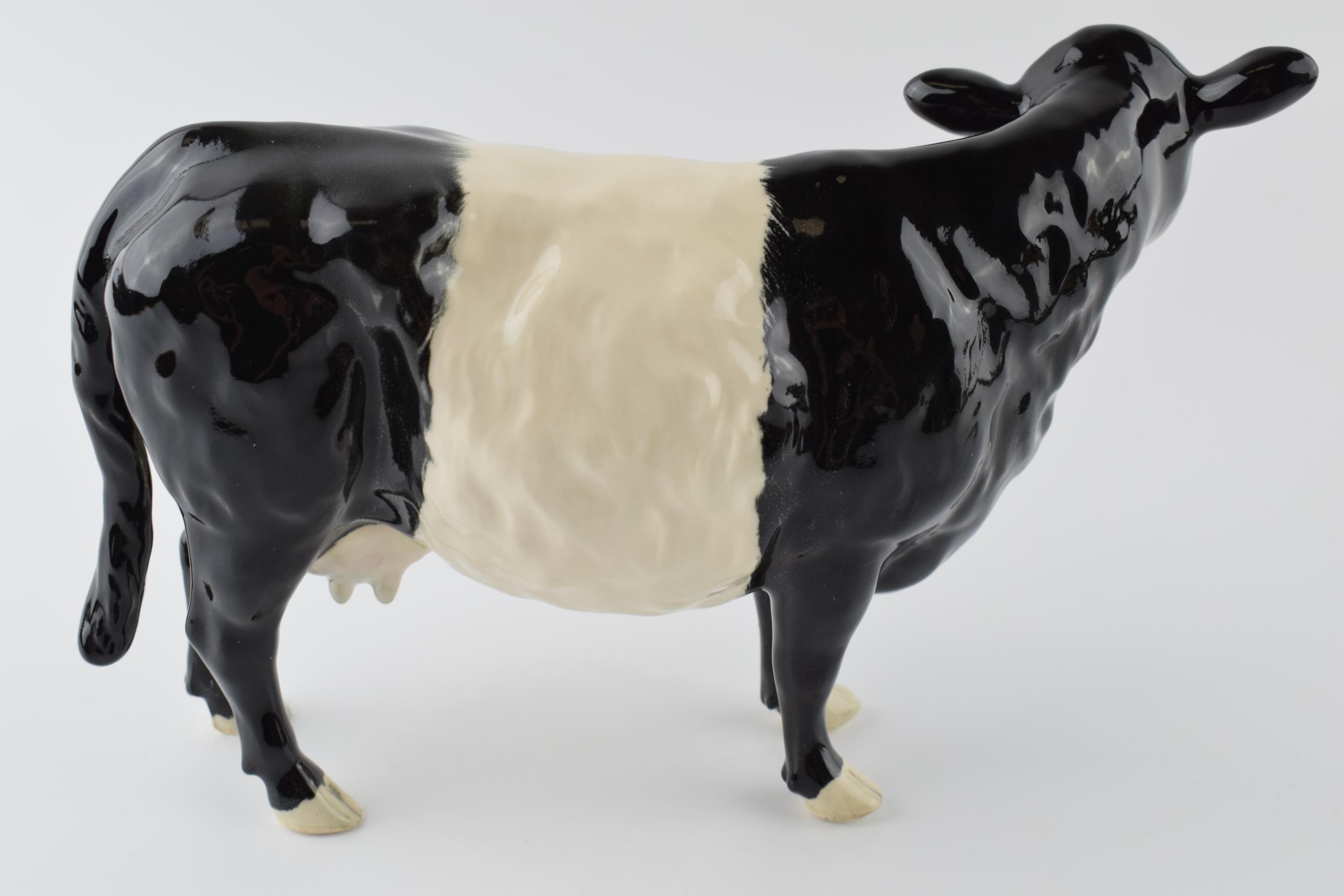 Beswick Belted Galloway Cow 4113A. In good condition with no obvious damage or restoration. - Image 2 of 3