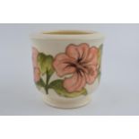 Moorcroft Hibiscus on magnolia planter, 13cm tall.