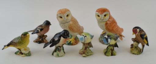 A collection of Beswick birds to include, Blue Tit, Gold Finch, Great Tit, Chaffinch, Greenfinch,