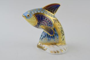 Royal Crown Derby paperweight, from the Tropical Fish Series, Guppy, 12cms, this is number 120 of