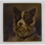Victorian ceramic 6" tile. Portrait tile of a Terrier dog in the émaux ombrants technique, in relief