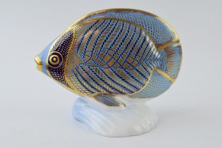 Royal Crown Derby paperweight from the Tropical Fish Series, Chevroned Butterfly Fish, gold stopper,