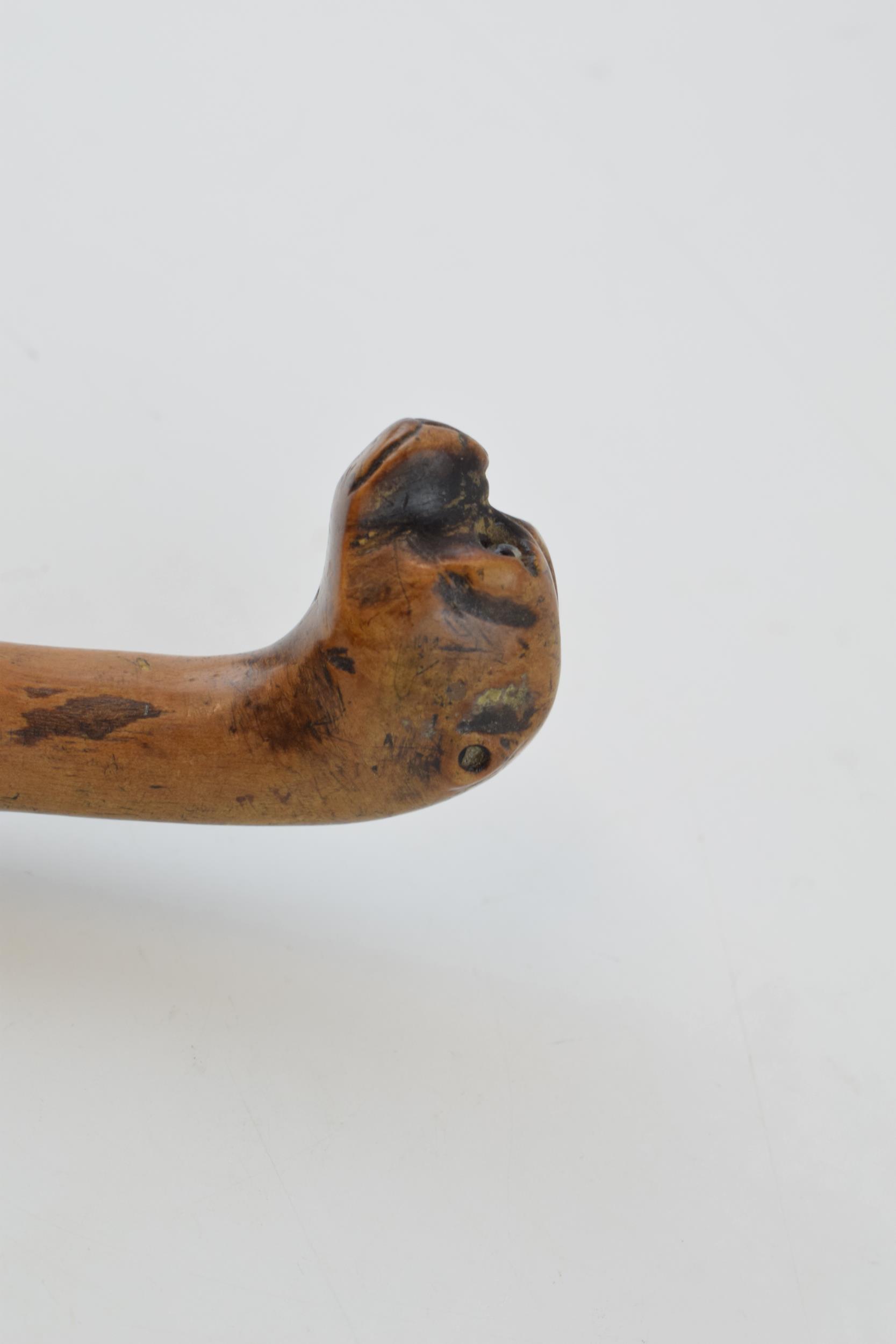 Folk Art walking stick with naively carved head on a Boxer dog with glass eyes and original - Image 4 of 6
