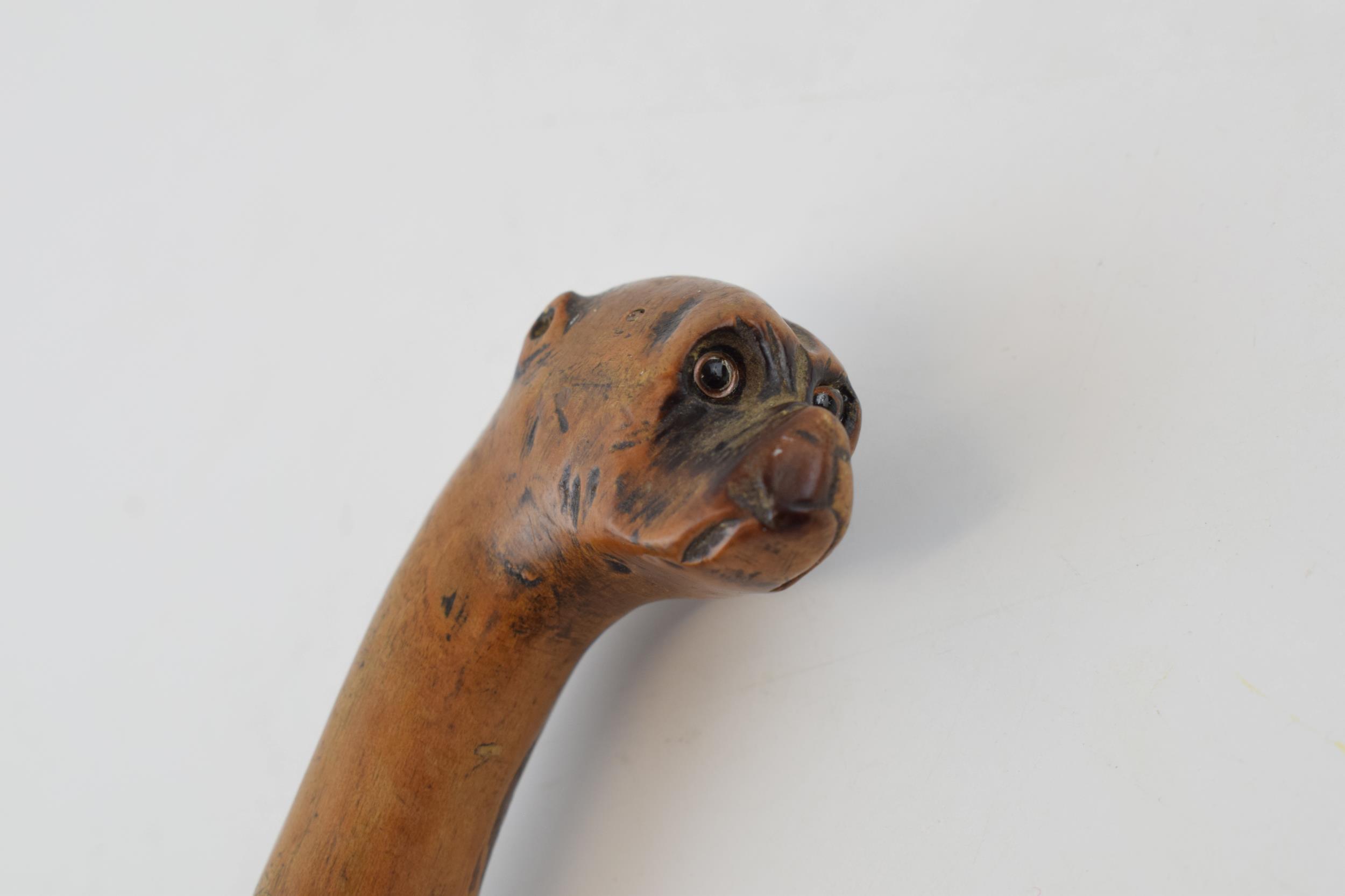 Folk Art walking stick with naively carved head on a Boxer dog with glass eyes and original - Image 2 of 6